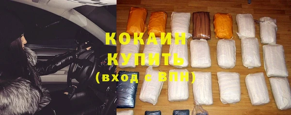 спиды Пересвет