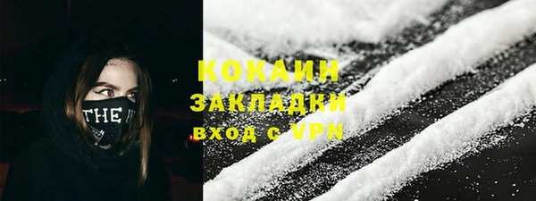 индика Аркадак