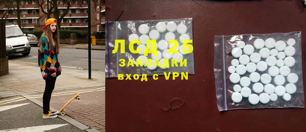 индика Аркадак